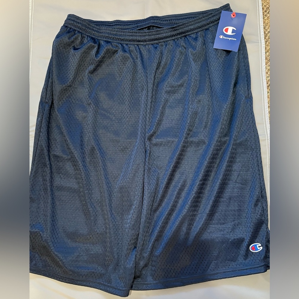 Champion Blue  Mesh Athletic Shorts
Large/ Tall